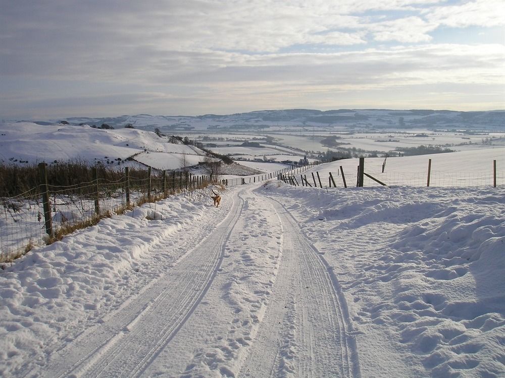 Northlees Farm Bed & Breakfast Perth Ngoại thất bức ảnh