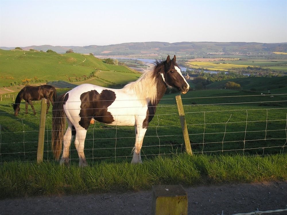 Northlees Farm Bed & Breakfast Perth Ngoại thất bức ảnh